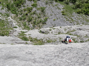 Kletterwand Führenwand (Leiterausflug) 2014